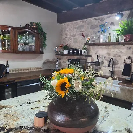 别墅 Le Chateau De La Grange Ferran